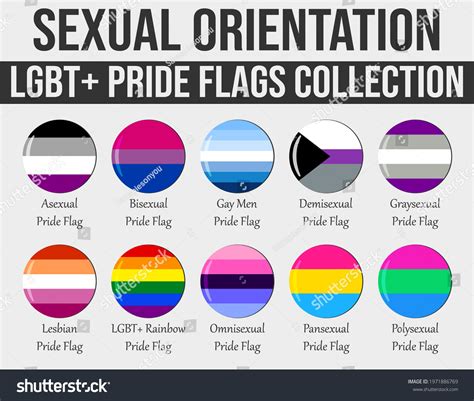 omni sexuality flag|Omni (orientation)